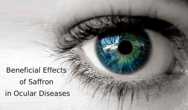 Beneficial Effects of Saffron (Crocus sativus L.) in Ocular Diseases