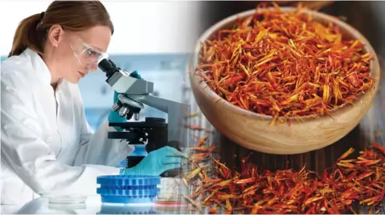 Saffron from different regions and their anticancer potential.